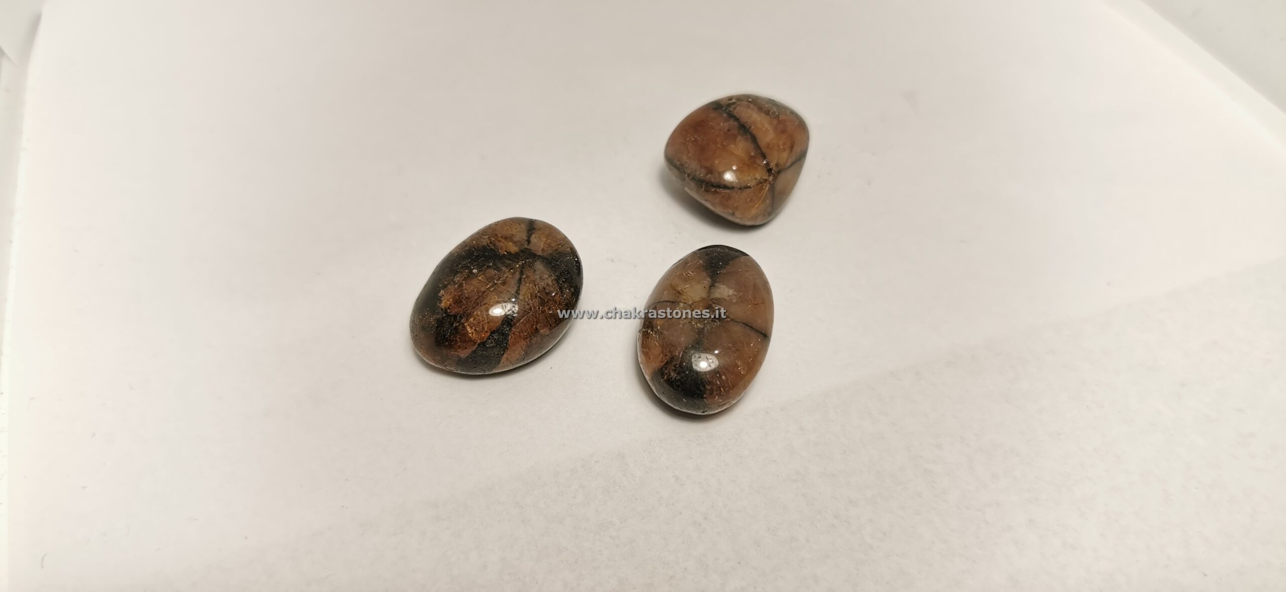 chiastolite_2