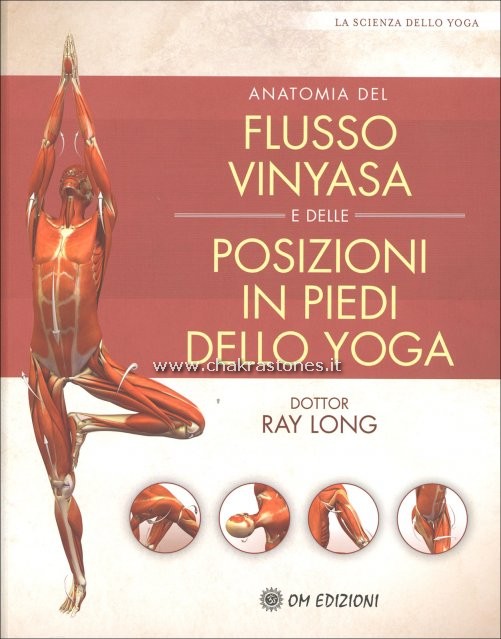 anatomia del flusso vinyasa e delle posizioni in piedi dello yoga_3