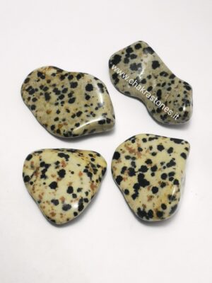 Diaspro Dalmata burattato
