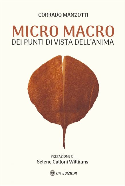 copertina_manzotti_micro_macro