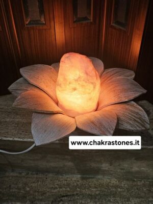 LAMPADA foglie di cocco MARGHERITA con blocco di sale himalayano - foglie corte