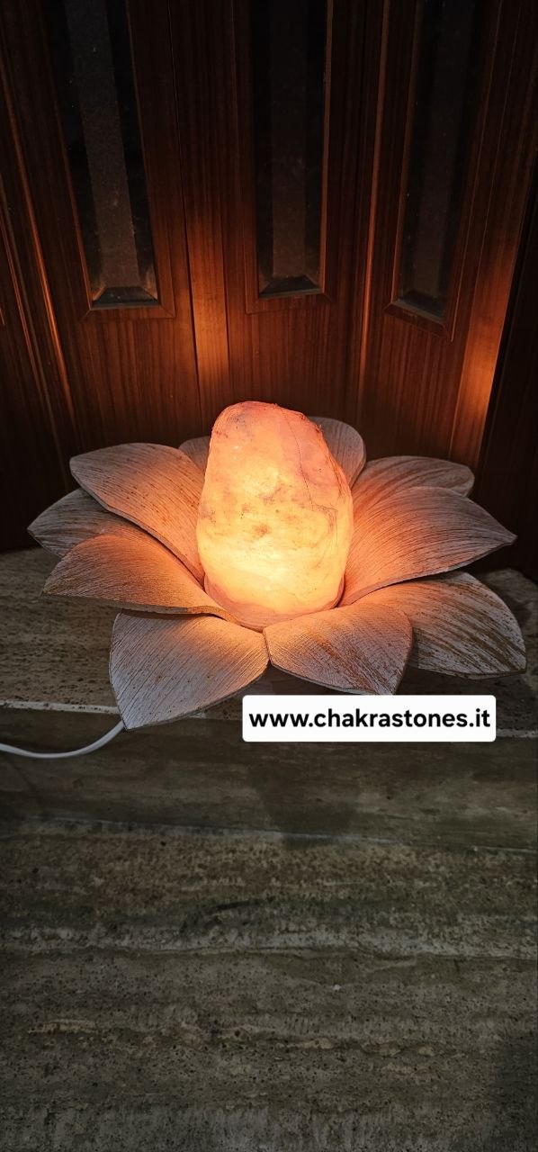 lampada margherita blocco con foglie corte _1